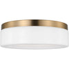 Satin Brass