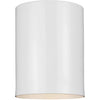 White / A19