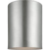 Painted Brushed Nickel / A19