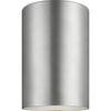 Painted Brushed Nickel