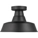 Barn Light One Light Outdoor Flush Mount by Visual Comfort & Co.. Made from aluminum in a unique style.