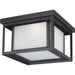 Hunnington LED Outdoor Ceiling Flush Mount by Visual Comfort & Co.. Made from aluminum in a unique style.