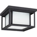 Hunnington Two Light Outdoor Ceiling Flush Mount by Visual Comfort & Co.. Made from aluminum in a traditional style.