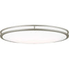 Painted Brushed Nickel