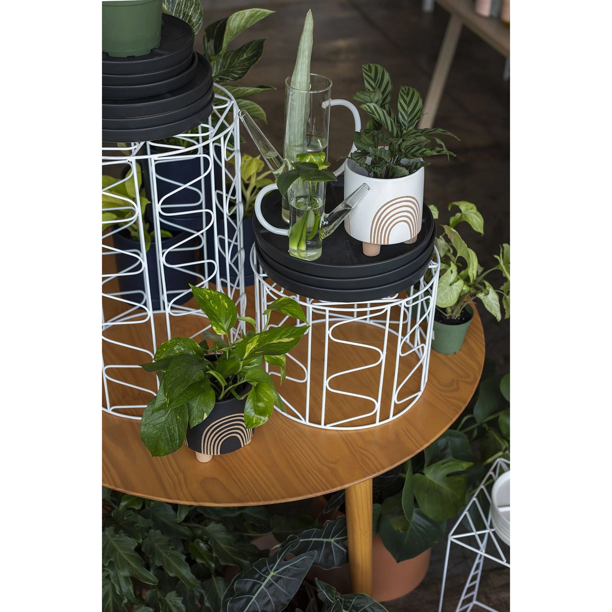 Harding Round Stand by Accent Decor in white. Made from metal in a modern style.