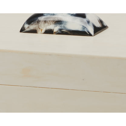 Constantine Box by Jamie Young in cream resin with horn accent. Made from resin on mdf, horn in a modern style.