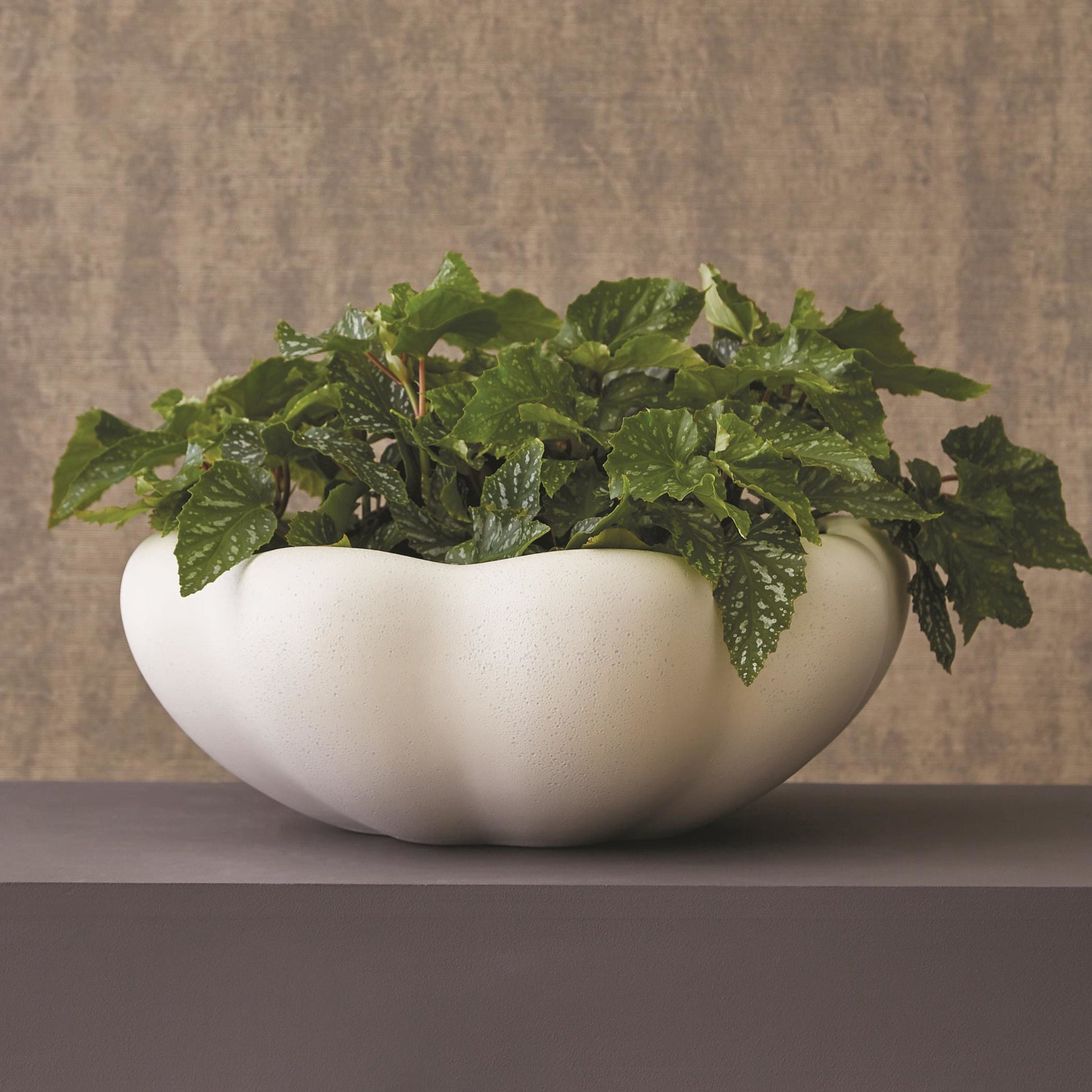 Pond Bowl by Global Views. Made from ceramic in a coastal style.