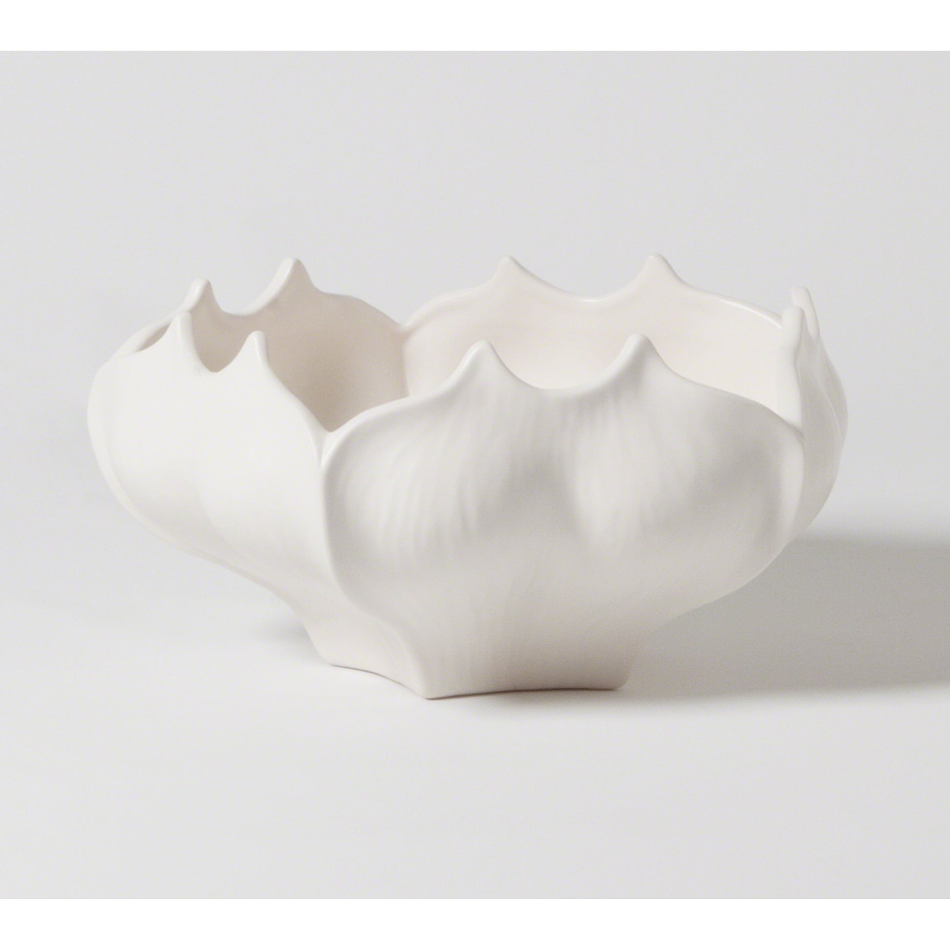 Star Fruit Bowl by Global Views. Made from ceramic in a coastal style.