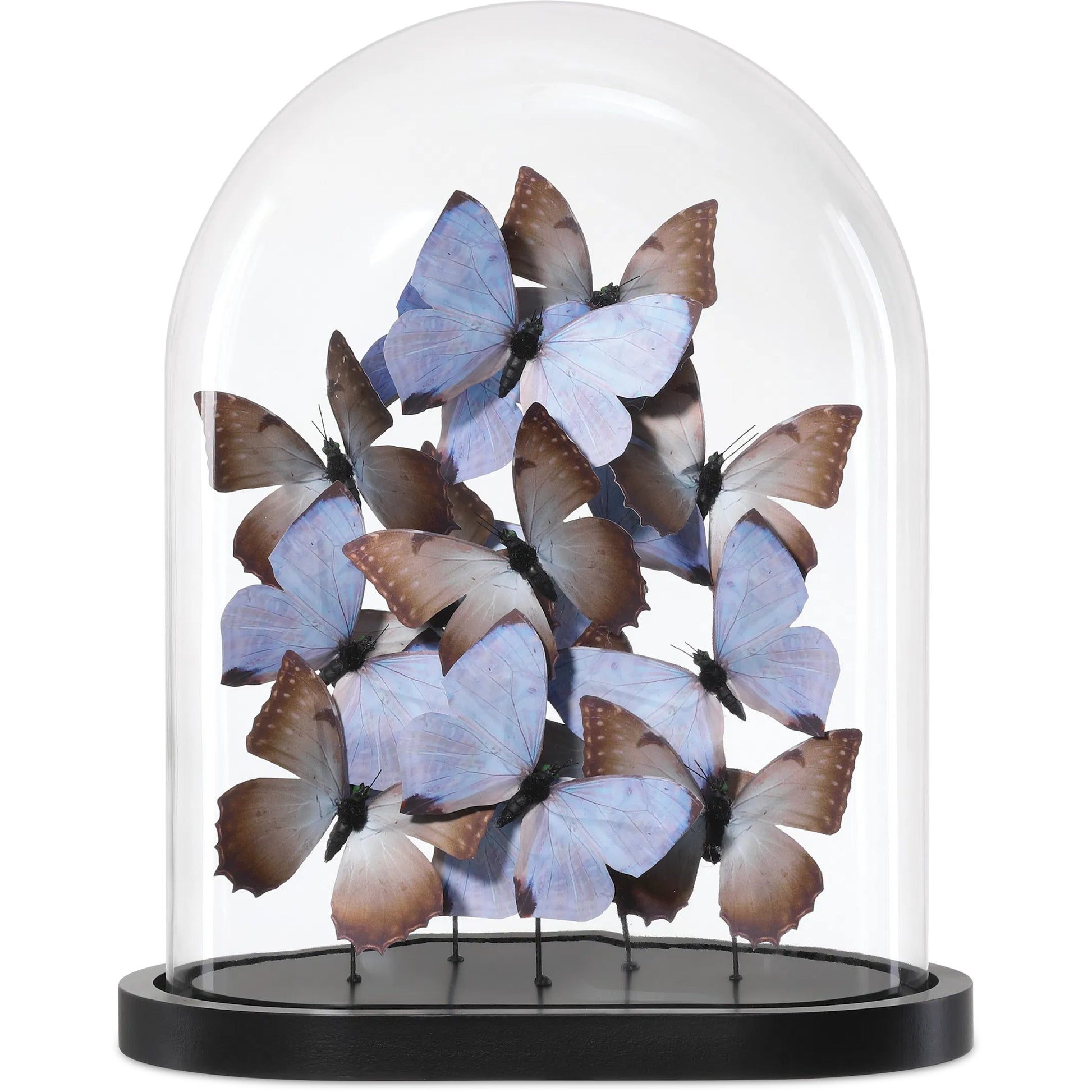 Rue De Bac Butterflies by Currey and Company. Made from paper, engineered wood, glass in a modern style.