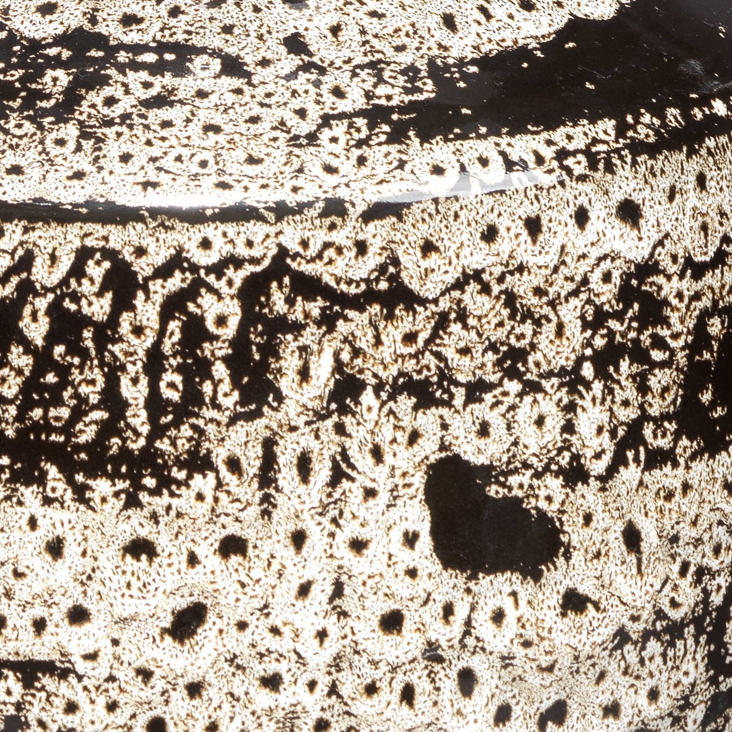 003 SI-1719679 | Closeup | Jones Vase by Jamie Young in beige, black. Made from ceramic in a eclectic & global style.