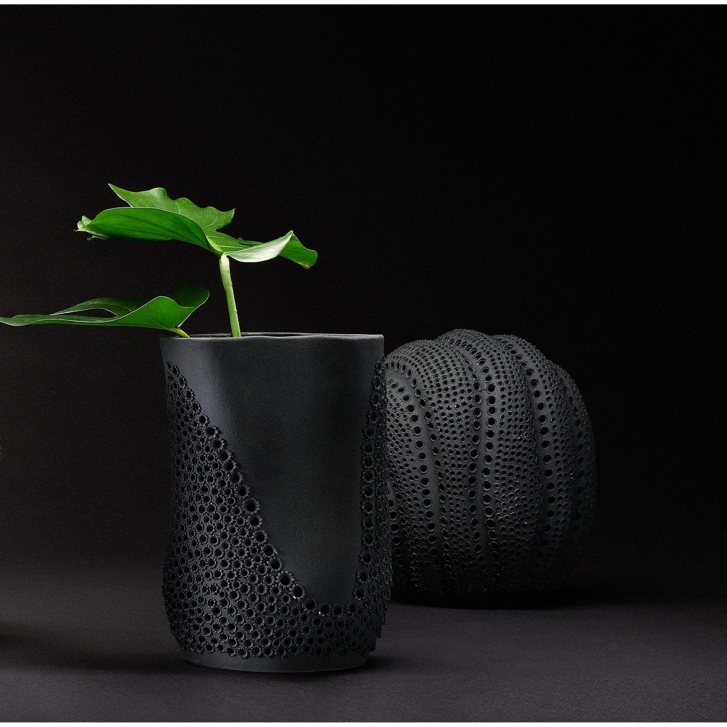 005 SI-1831457 | Lifestyle | Moonrise Vase by Jamie Young in matte black. Made from porcelain in a modern style.