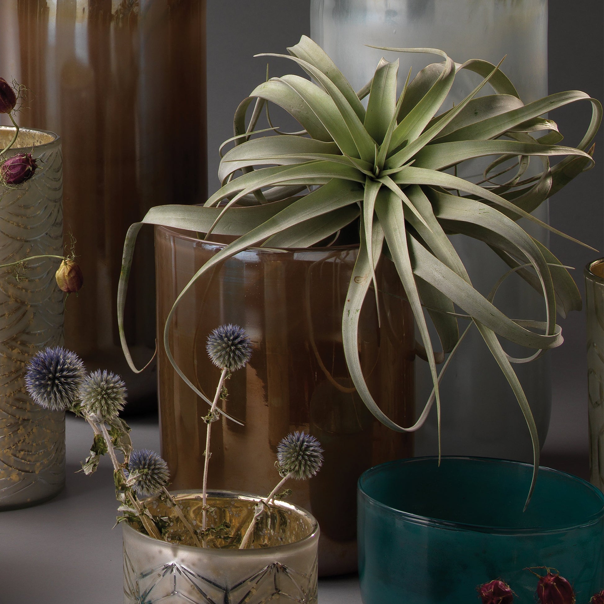 Vapor Vase by Jamie Young. Made from glass in a eclectic & global style.