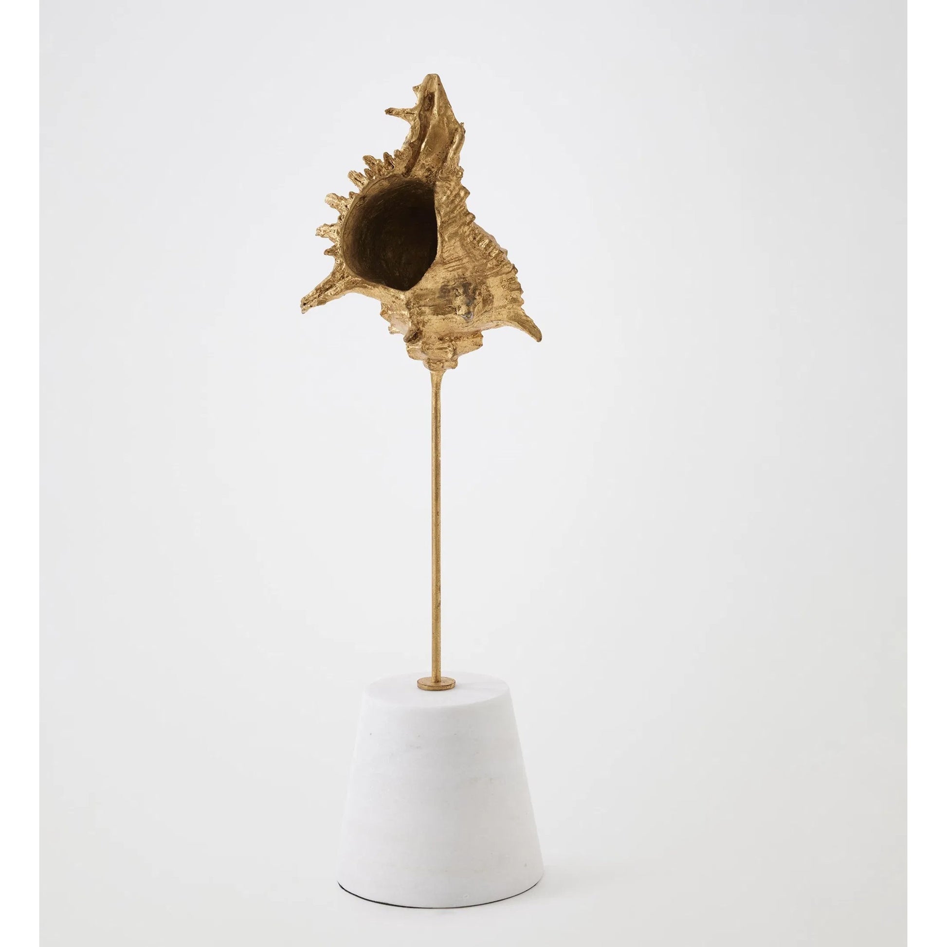 Shells on Marble by Global Views in miter, brass. Made from cast iron, white marble in a coastal style.