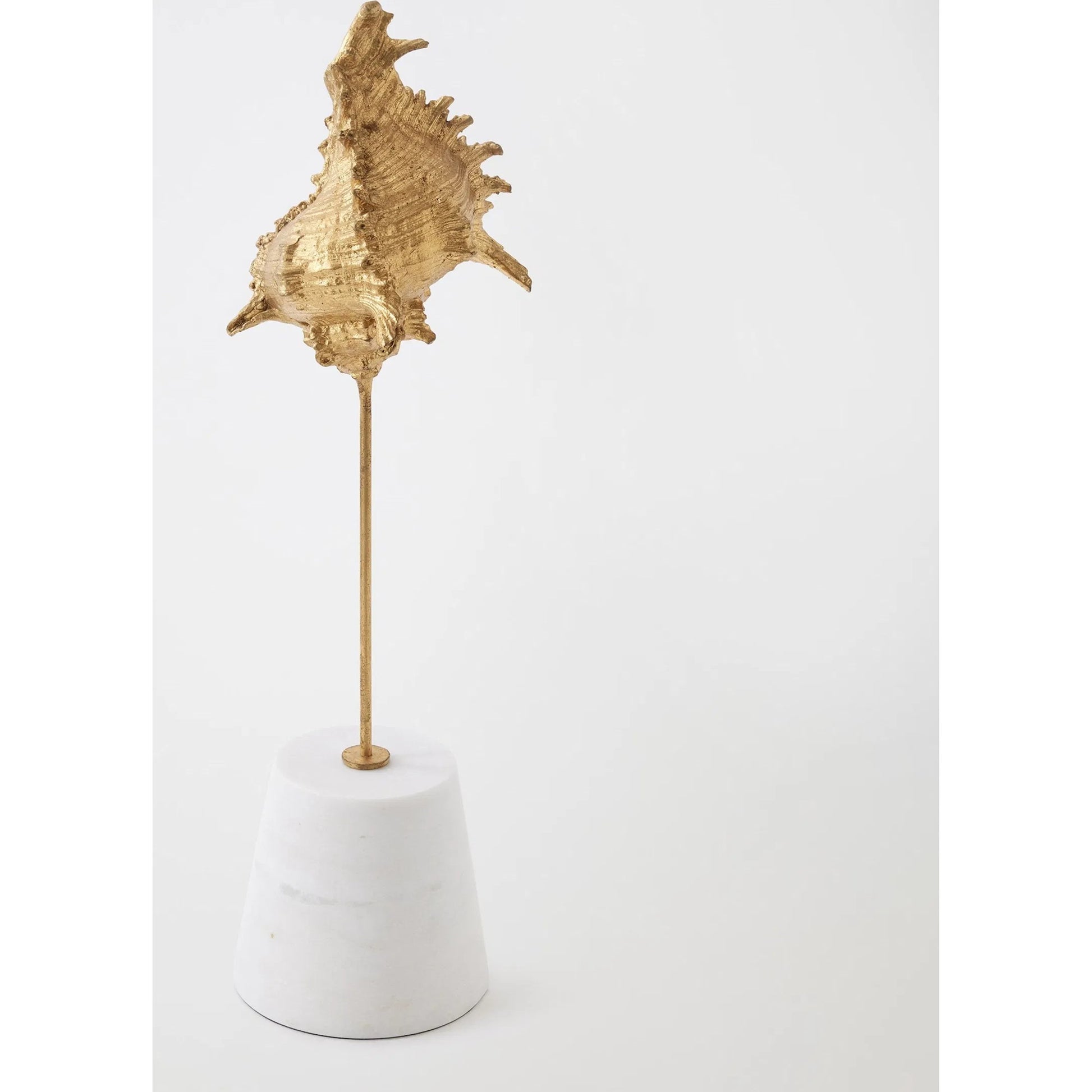 Shells on Marble by Global Views in miter, brass. Made from cast iron, white marble in a coastal style.