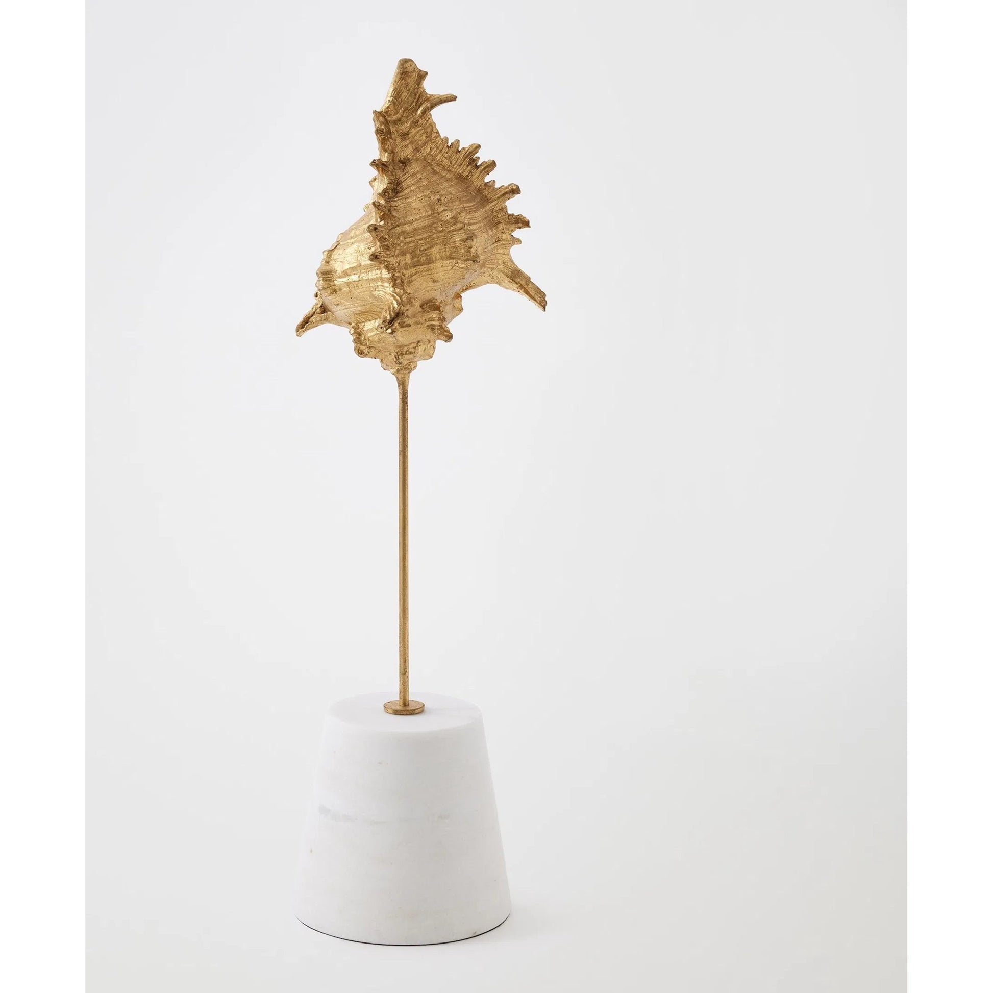Shells on Marble by Global Views in miter, brass. Made from cast iron, white marble in a coastal style.