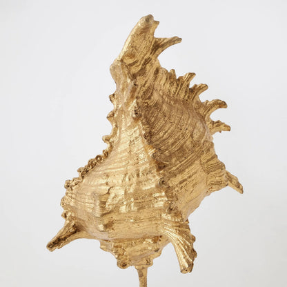 Shells on Marble by Global Views in miter, brass. Made from cast iron, white marble in a coastal style.