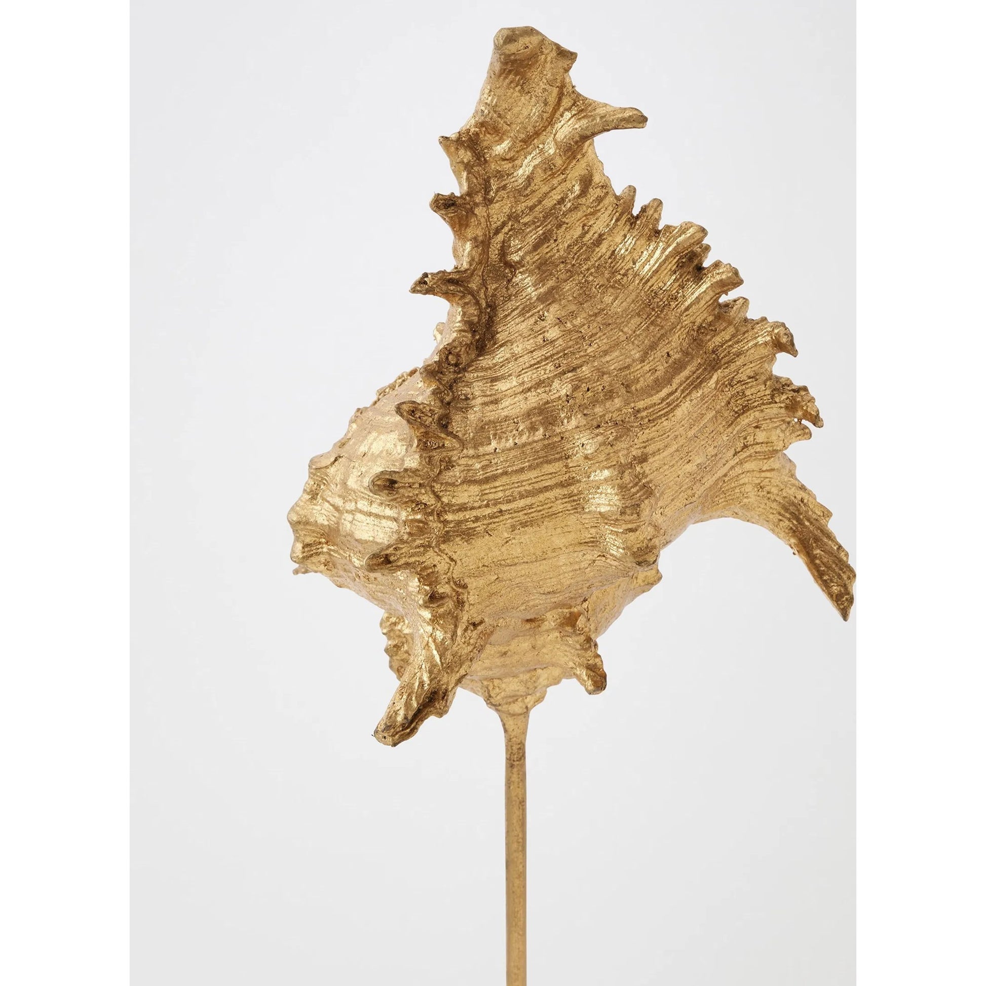 Shells on Marble by Global Views in miter, brass. Made from cast iron, white marble in a coastal style.
