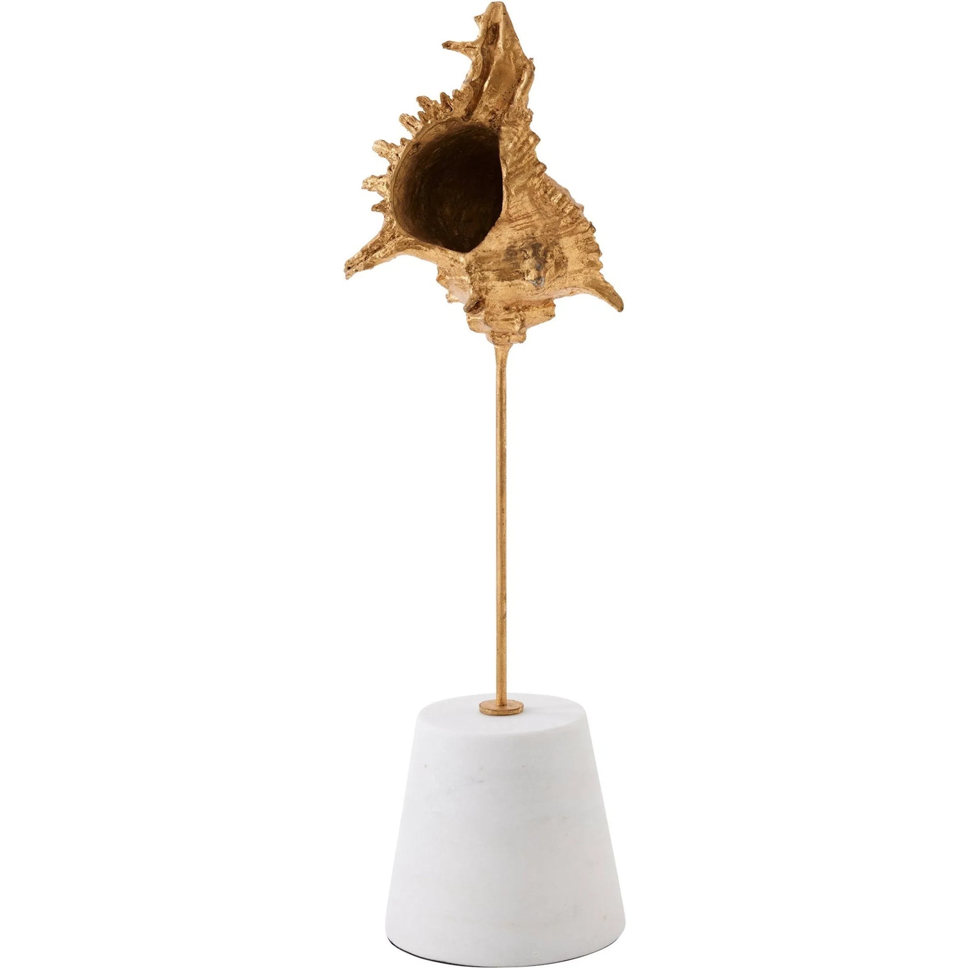 Shells on Marble by Global Views in miter, brass. Made from cast iron, white marble in a coastal style.