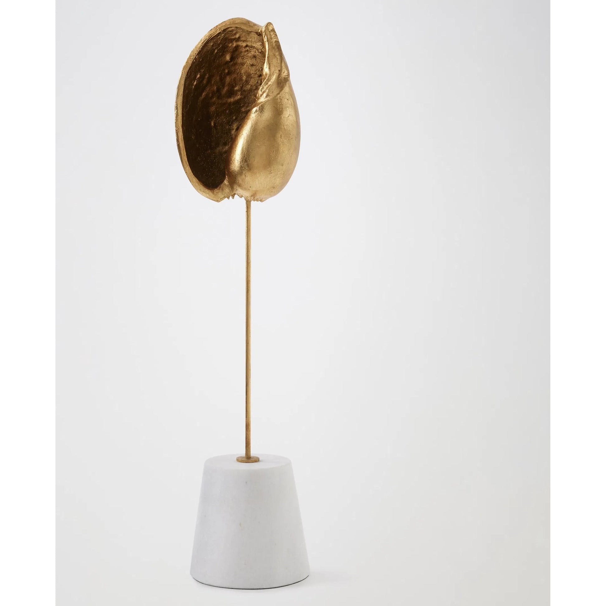 Shells on Marble by Global Views in miter, brass. Made from cast iron, white marble in a coastal style.