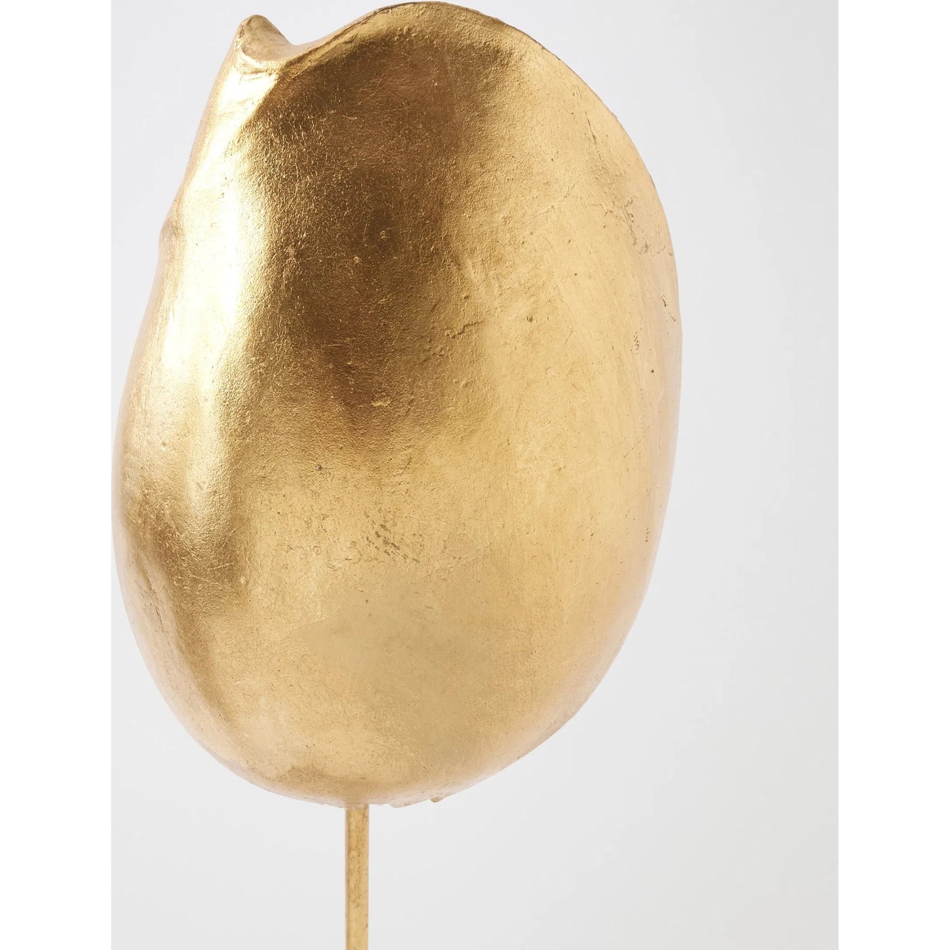 Shells on Marble by Global Views in miter, brass. Made from cast iron, white marble in a coastal style.