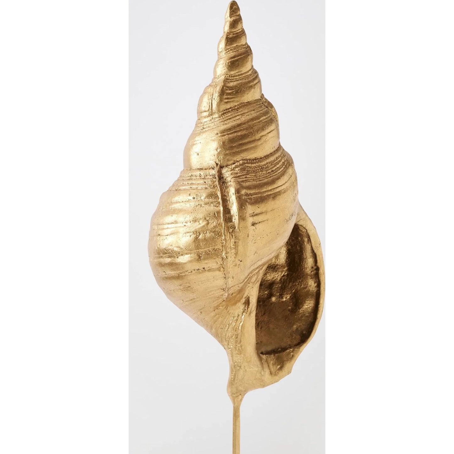 009 SI-2523863 | Closeup | Shells on Marble by Global Views in miter, brass. Made from cast iron, white marble in a coastal style.