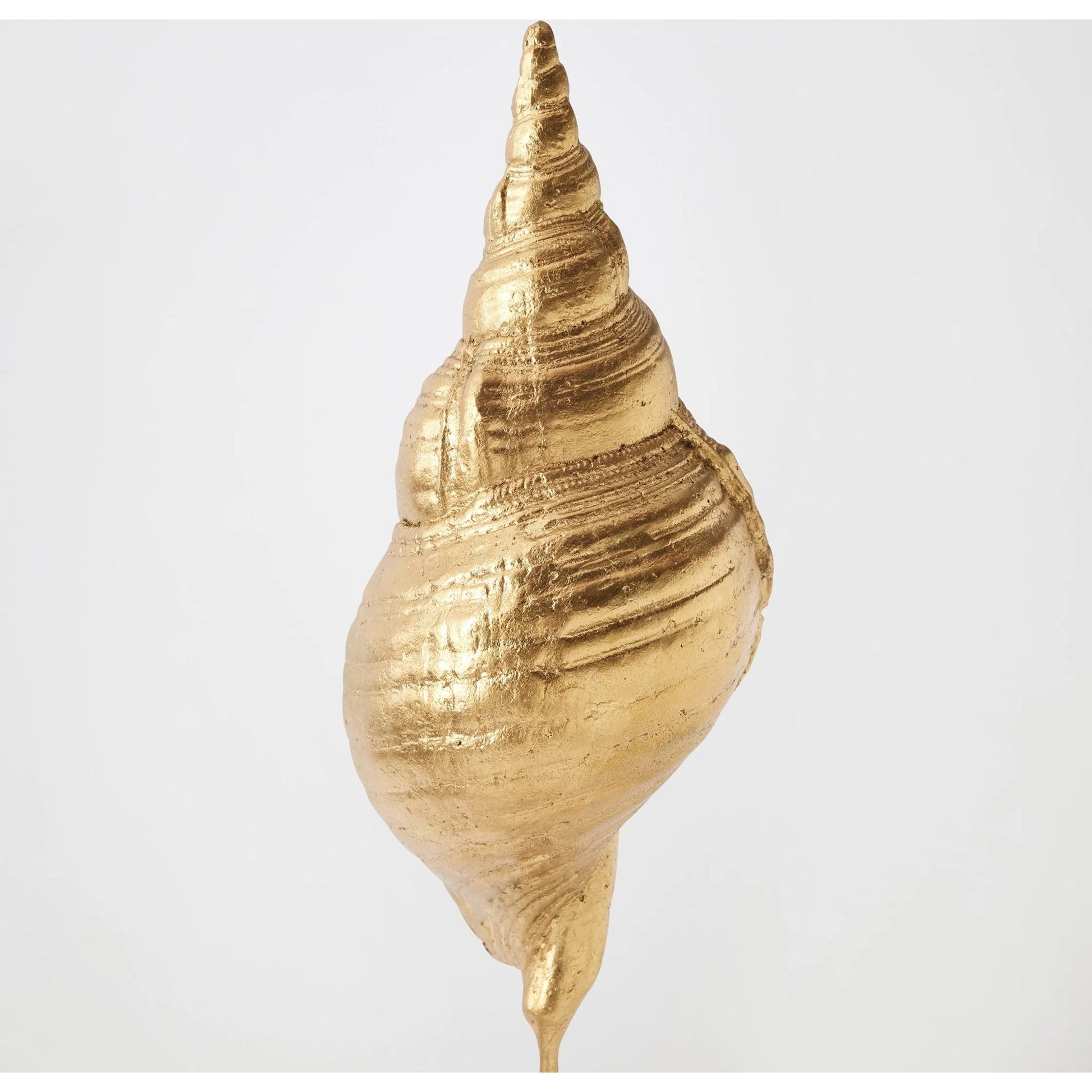 Shells on Marble by Global Views in miter, brass. Made from cast iron, white marble in a coastal style.