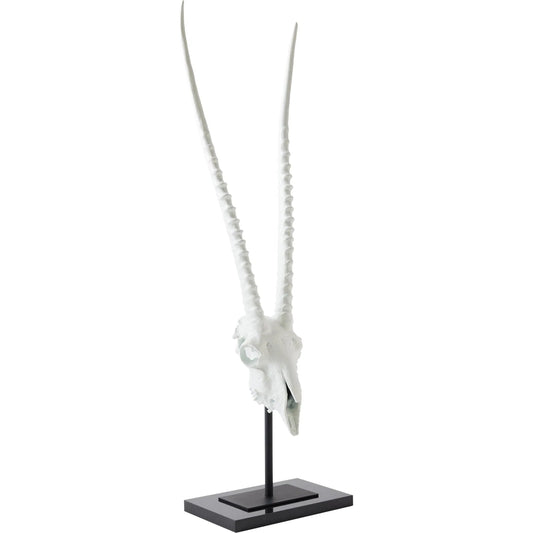 Gemsbok Skull Sculpture by Global Views in matte white. Made from cast iron, granite in a eclectic & global style.