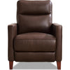 Chestnut Brown