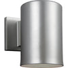 Painted Brushed Nickel / A19