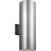 Painted Brushed Nickel / A19