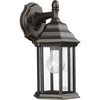 Antique Bronze