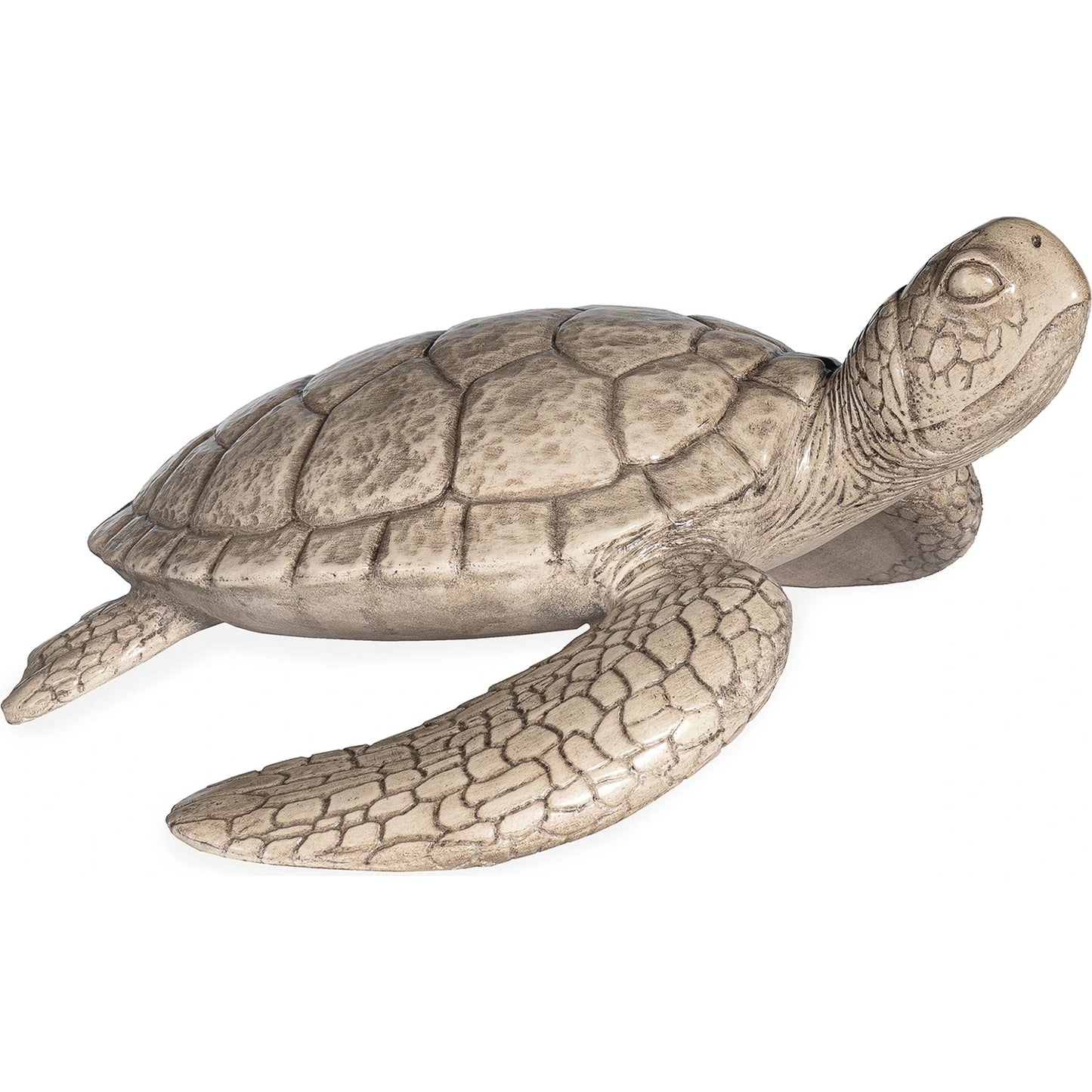 001 SI-2015851 | Primary Silo | Shelldon Tortoise Accessory by Maitland-Smith in grey. Made from unique in a coastal style.