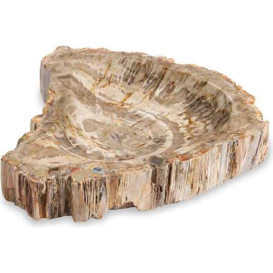 Brown Petrified Bowl by Maitland-Smith in natural brown. Made from unique in a unique style.