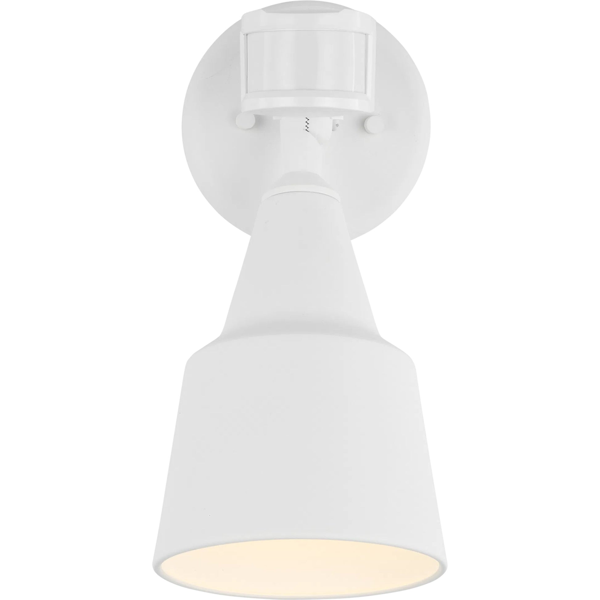 One Light Adjustable Swivel Flood Light by Visual Comfort & Co.. Made from aluminum in a unique style.