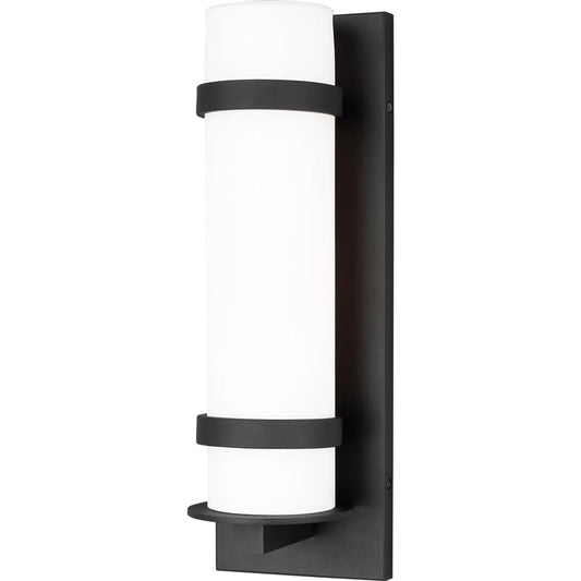 Alban Medium One Light Outdoor Wall Lantern by Visual Comfort & Co.. Made from aluminum in a unique style.