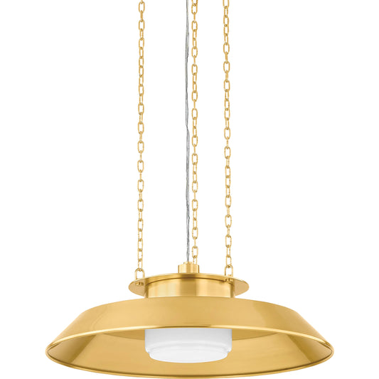 Woodrow Pendant by Hudson Valley. Made from steel in a unique style.