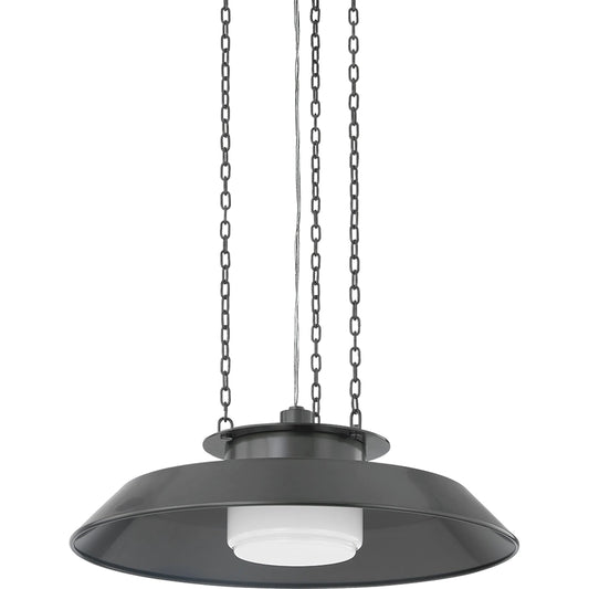 Woodrow Pendant by Hudson Valley. Made from steel in a unique style.