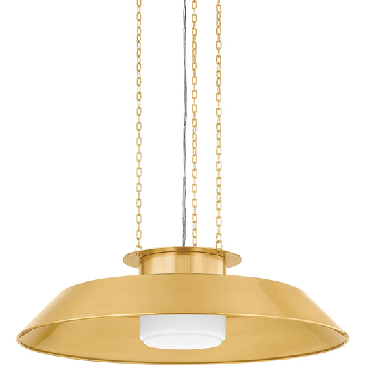Woodrow Pendant by Hudson Valley. Made from steel in a unique style.