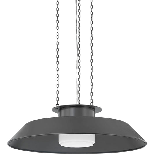 Woodrow Pendant by Hudson Valley. Made from steel in a unique style.