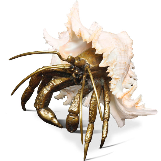 Ramosus Shell Sculpture by Maitland-Smith. Made from unique in a coastal style.