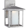 Weathered Pewter / 9W