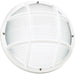 Bayside One Light Outdoor Wall / Ceiling Mount by Visual Comfort & Co.. Made from polycarbonate in a unique style.