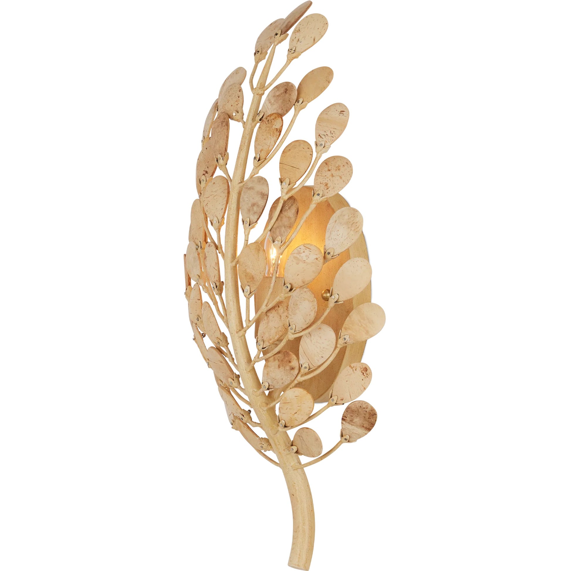 Maypan Wall Sconce by Currey and Company in natural, coco cream. Made from coco shells, wrought iron in a modern style.