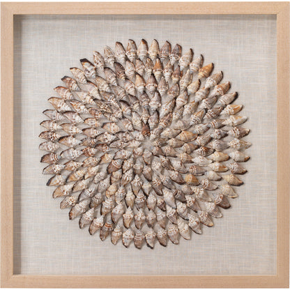 Riviera Framed Wall Art by Jamie Young in off white, brown. Made from shells (conch), linen, pine wood, mdf (backing) in a coastal style.