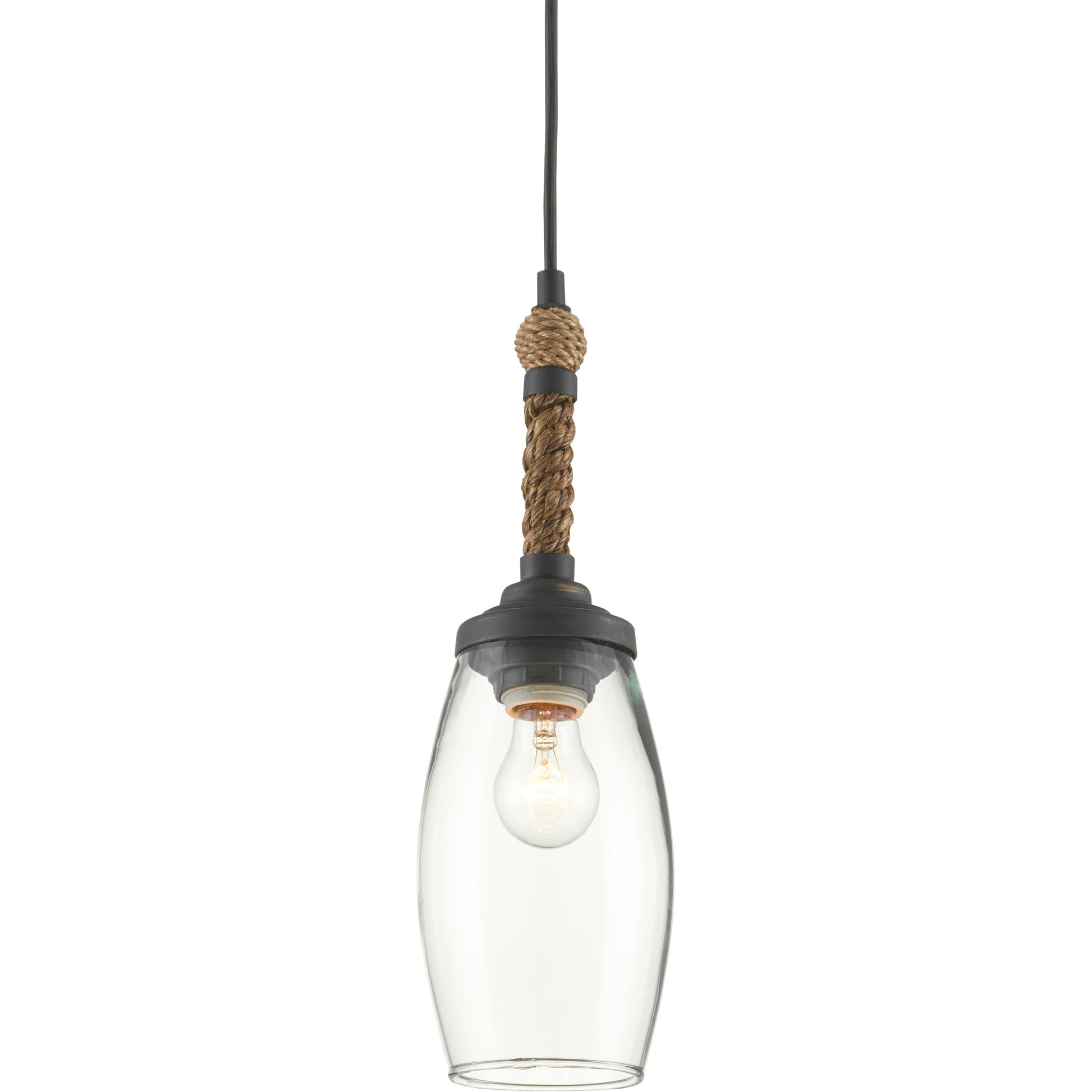 Hightider Pendant by Currey and Company in french black, natural rope. Made from wrought iron, abaca rope, recycled glass in a modern style.