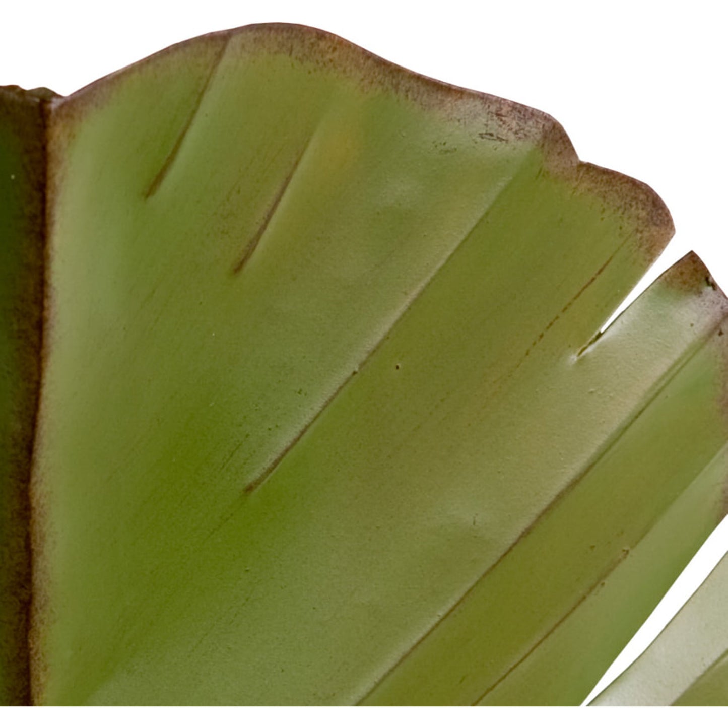 003 SR-818182 | Closeup | Sconce by Varaluz in banana leaf. Made from banana leaf, recycled steel in a coastal style.