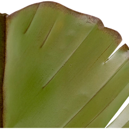 Sconce by Varaluz in banana leaf. Made from banana leaf, recycled steel in a coastal style.