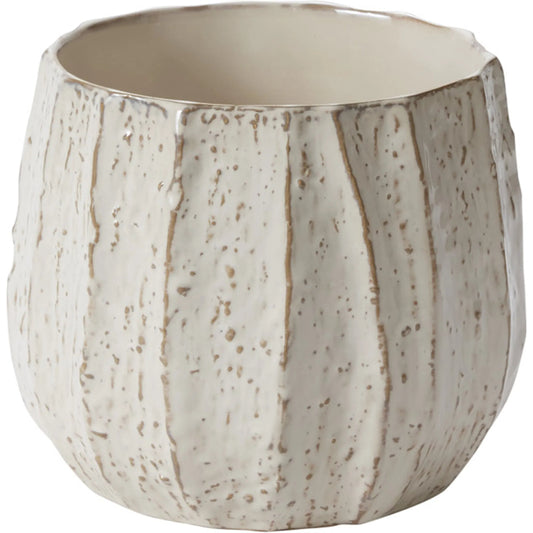 Beechwood Pot by Accent Decor in off-white. Made from ceramic in a modern style.