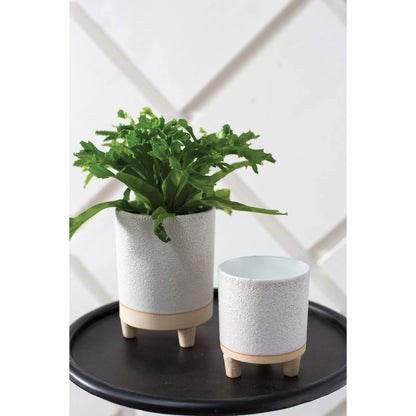 Delray Footed Pot by Accent Decor in white. Made from ceramic in a unique style.