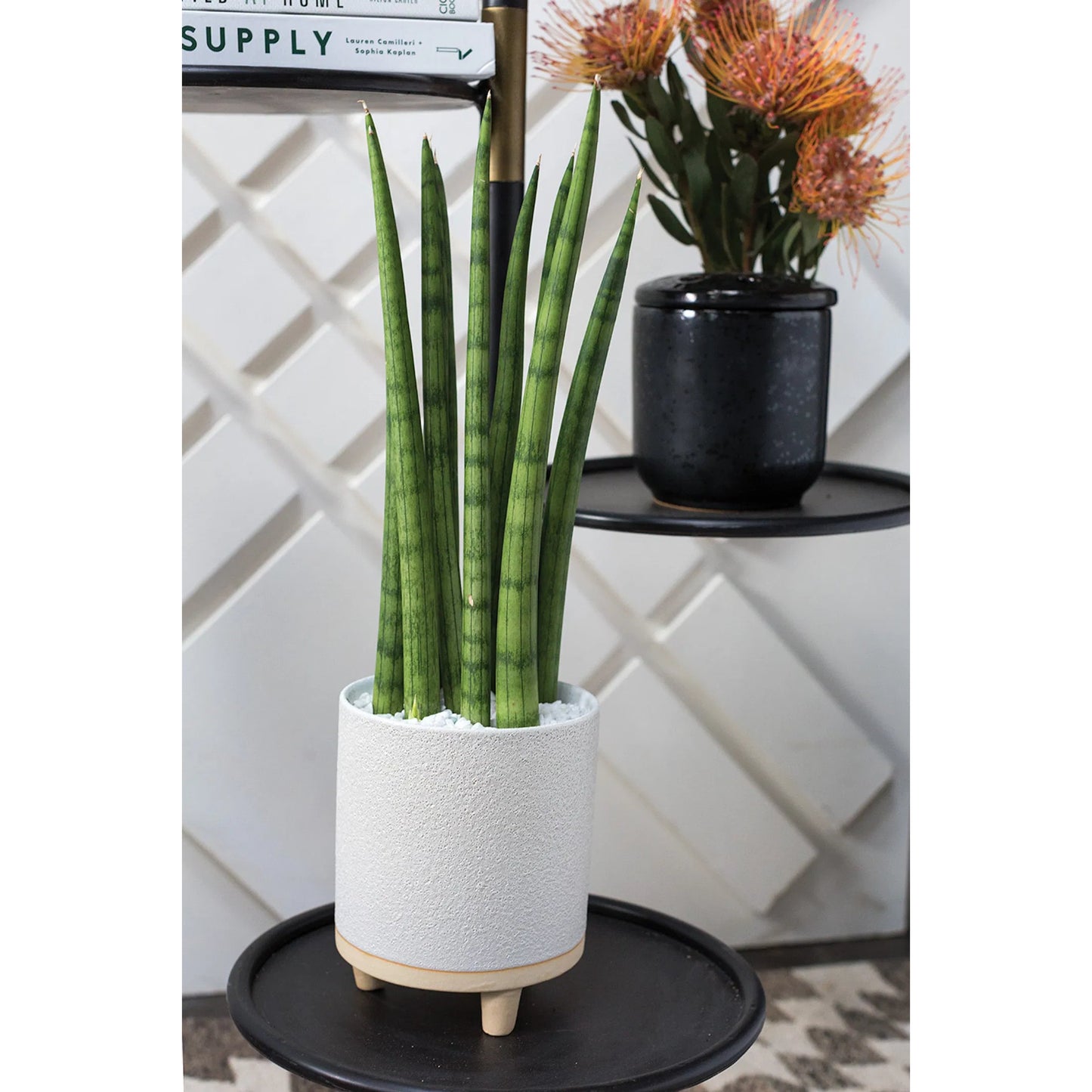 004 SI-2264068 | Lifestyle | Delray Footed Pot by Accent Decor in white. Made from ceramic in a unique style.
